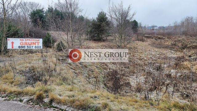 Działka inwestycyjna Wierzbica. Zdjęcie 6