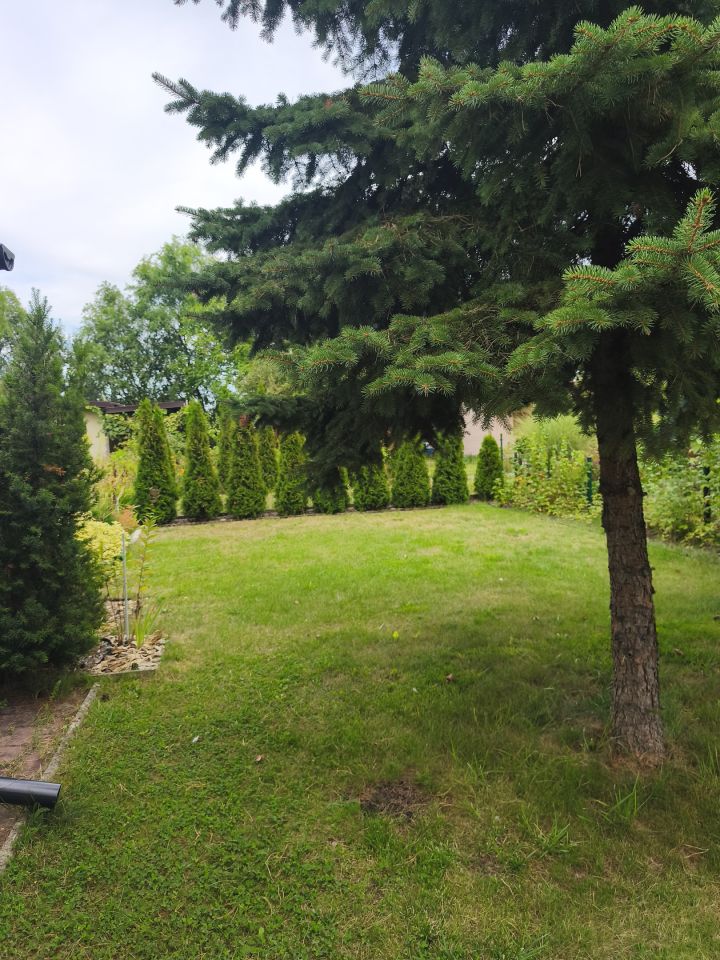Działka rod Krotoszyn, ul. Glinki. Zdjęcie 9