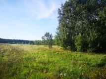 Działka rolno-budowlana Karwno. Zdjęcie 2