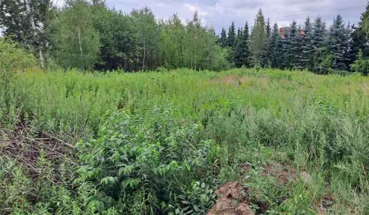 Działka budowlana Nowa Iwiczna, ul. Turystyczna