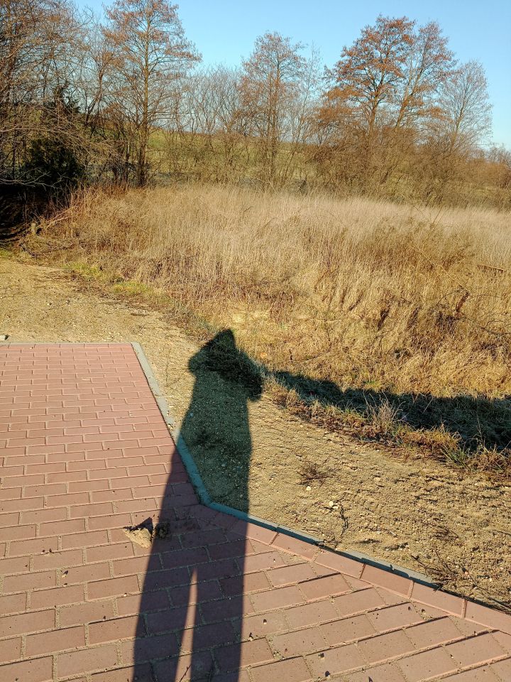 Działka budowlana Jedwabne. Zdjęcie 4