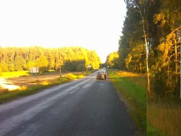 Działka inwestycyjna Grójec Mały. Zdjęcie 4