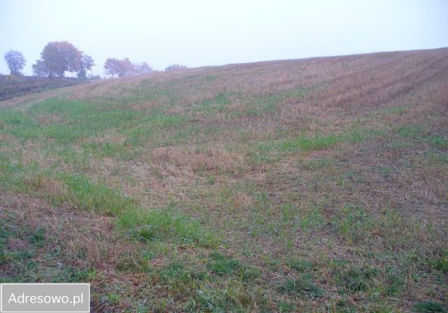 Działka budowlana Łapinóżek. Zdjęcie 1