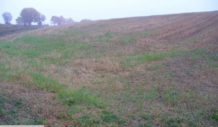 Działka budowlana Łapinóżek