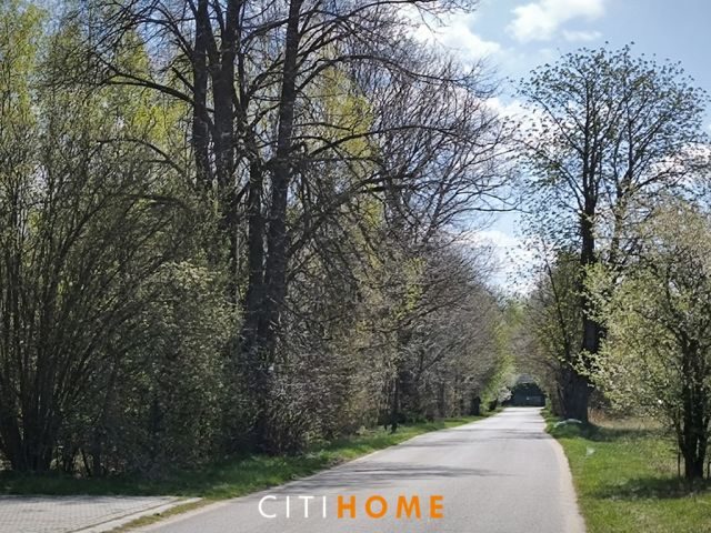 Działka leśna Poschła. Zdjęcie 7