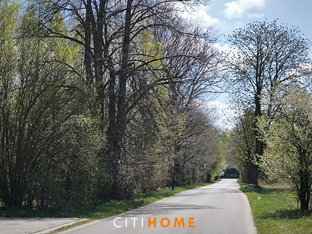 Działka leśna Poschła. Zdjęcie 7