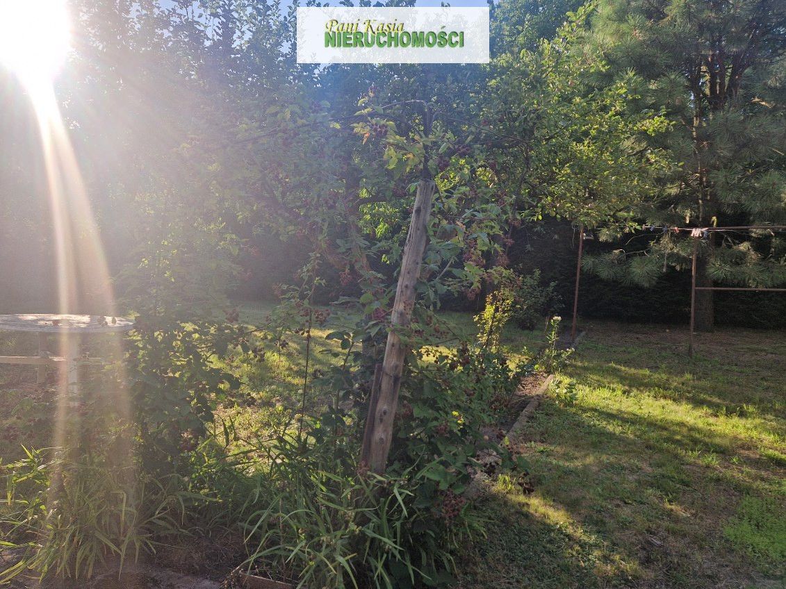 dom, 3 pokoje Grodzisk Mazowiecki. Zdjęcie 3