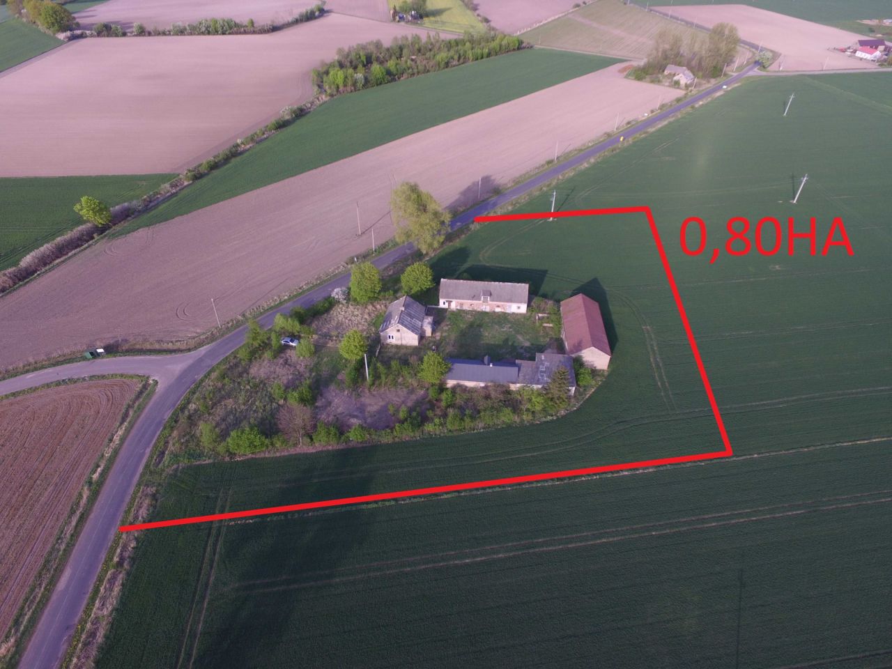 Działka siedliskowa Jagiełłów. Zdjęcie 8