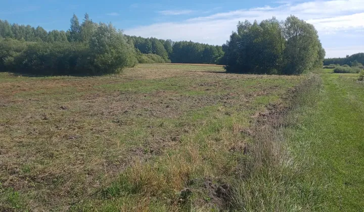 Działka rolna Bukowa Mała Bukowa Mała-Kolonia