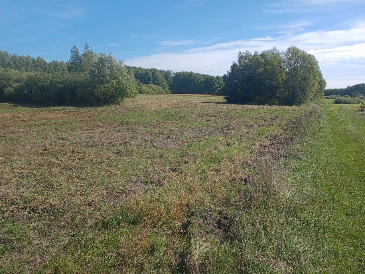 Działka rolna Bukowa Mała Bukowa Mała-Kolonia. Zdjęcie 1