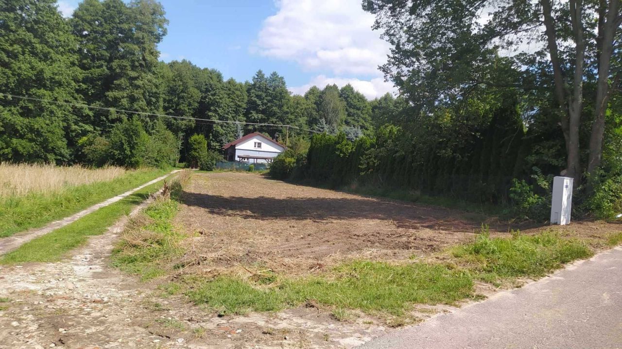 Działka budowlana Stare Skoszewy. Zdjęcie 4