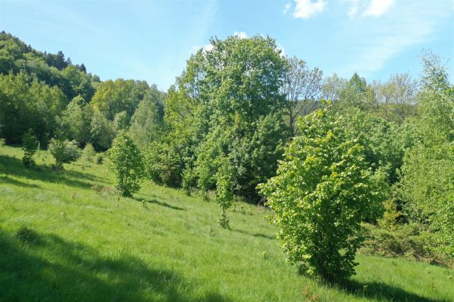 Działka budowlana Piechowice. Zdjęcie 3