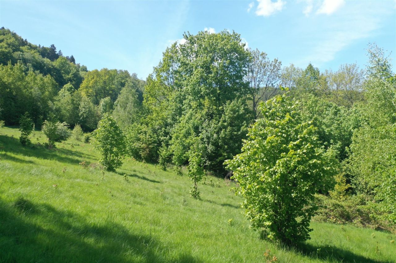 Działka budowlana Piechowice. Zdjęcie 3