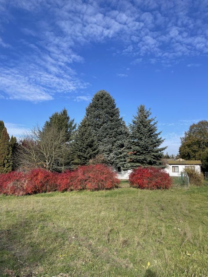 Działka budowlana Turowola. Zdjęcie 7