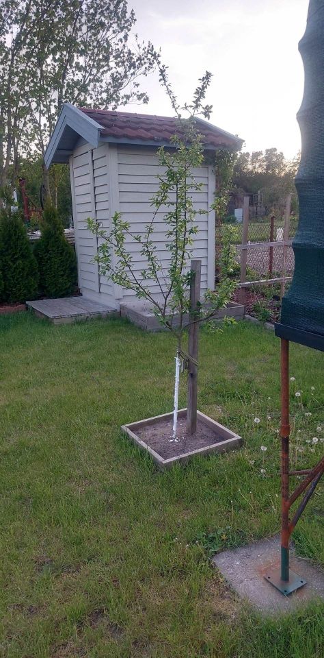 Działka rod Grochowiska. Zdjęcie 47