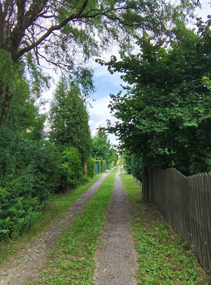 Działka rod Bytom, ul. Siemianowicka. Zdjęcie 6