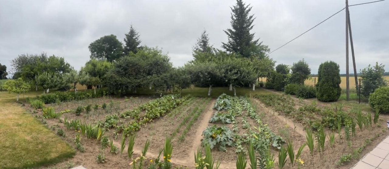 dom wolnostojący, 3 pokoje Wiktorowo. Zdjęcie 12