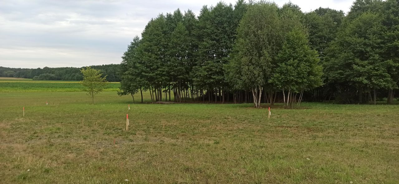 Działka budowlana Tołcze, ul. Leszczynowa. Zdjęcie 8