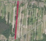 Działka siedliskowa Ossala. Zdjęcie 2