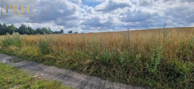 Działka budowlana Będzino. Zdjęcie 1