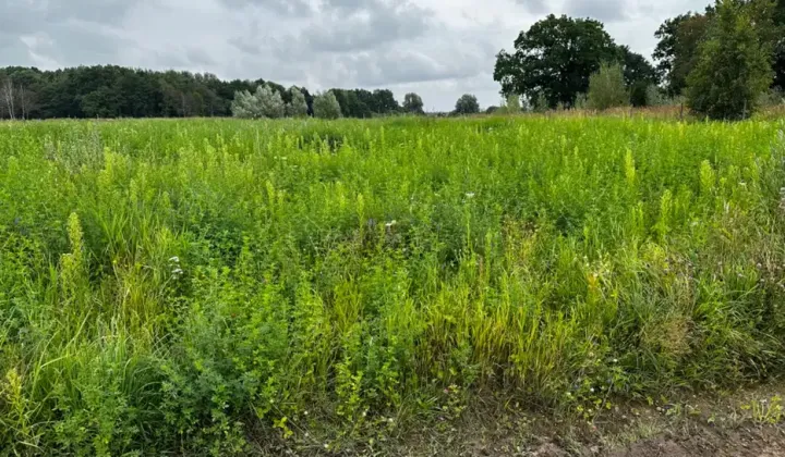 Działka budowlana Stary Borek