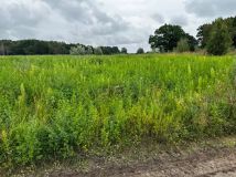 Działka budowlana Stary Borek