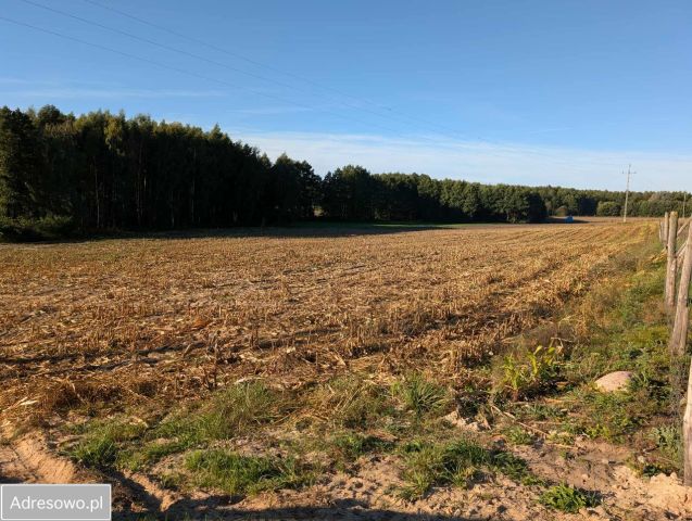 Działka budowlana Serock, ul. Leśna. Zdjęcie 1