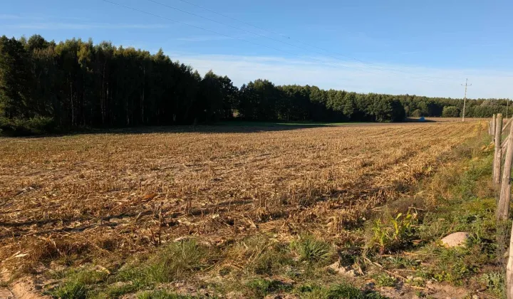 Działka budowlana Serock, ul. Leśna