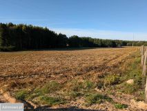 Działka budowlana Serock, ul. Leśna