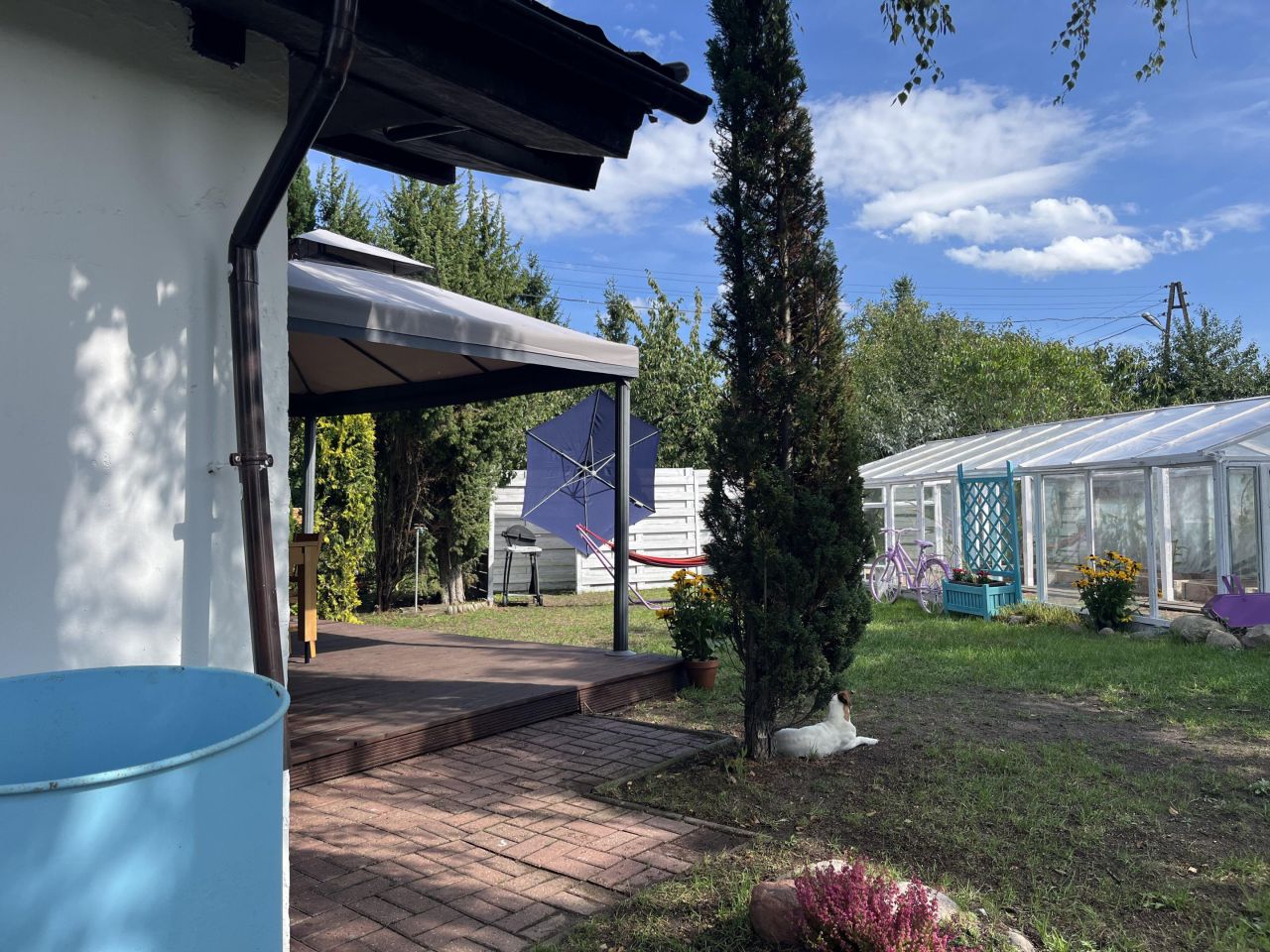 Działka rod Szczecin Pomorzany, ul. Przy Ogrodach. Zdjęcie 17