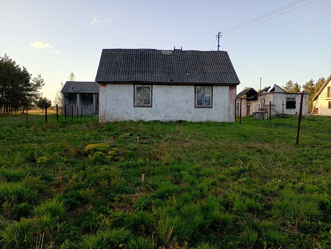 siedlisko Jaszczów-Kolonia. Zdjęcie 6