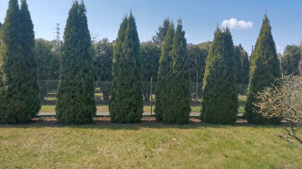 Działka rod Grudziądz. Zdjęcie 5