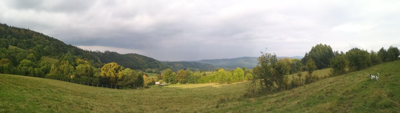 Działka rolno-budowlana Grzmiąca. Zdjęcie 8