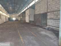 Hala/magazyn Polkowice. Zdjęcie 4