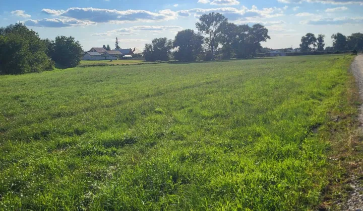 Działka rolna Krotoszyn, ul. Sokola