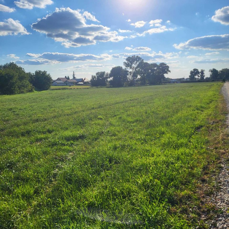 Działka rolna Krotoszyn, ul. Sokola