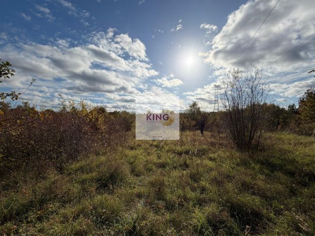 Działka siedliskowa Żórawie Szczawno. Zdjęcie 7