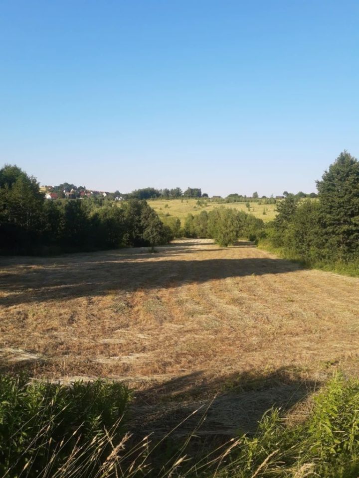 Działka rolno-budowlana Lednica Górna. Zdjęcie 1