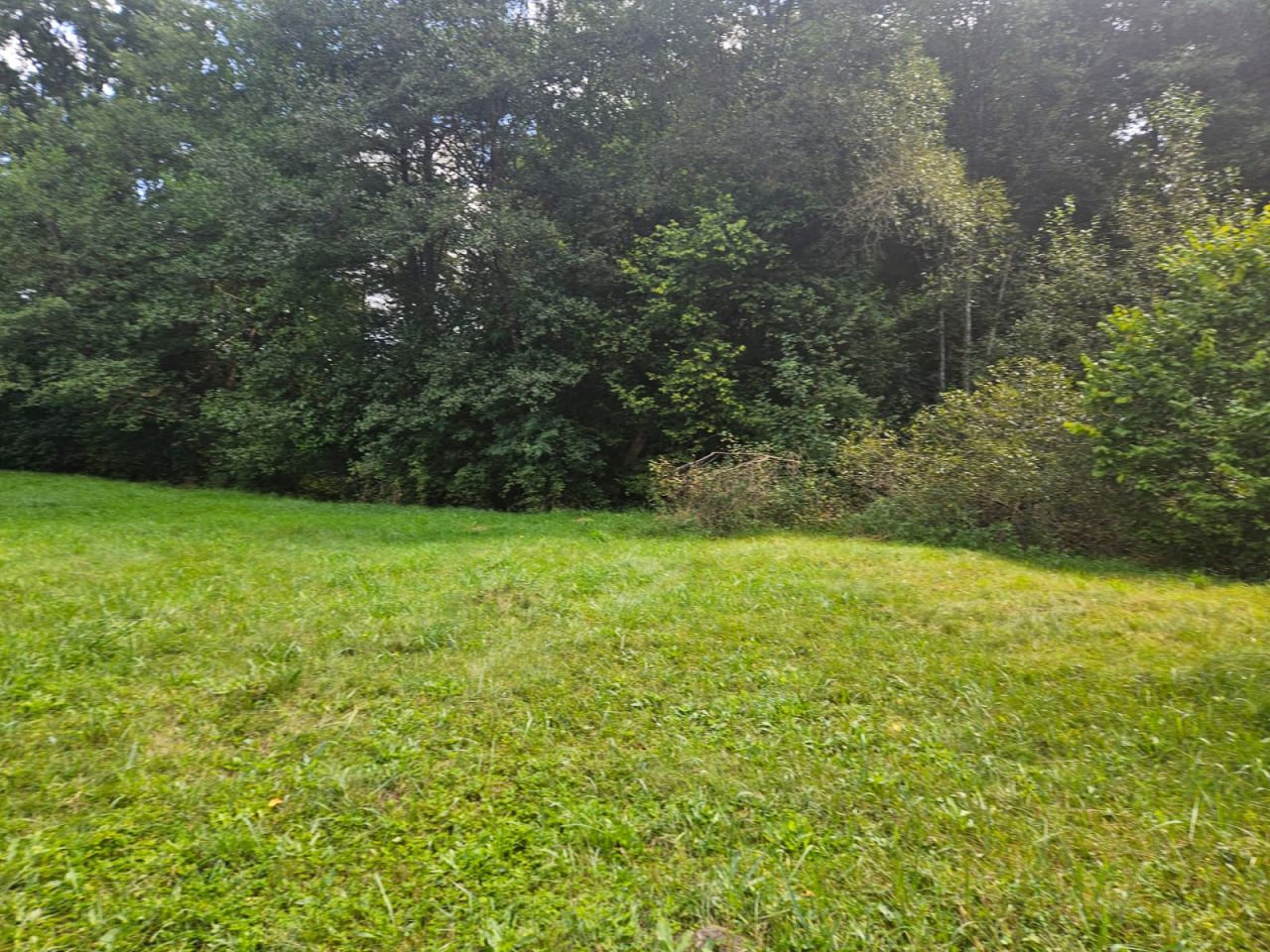 Działka budowlana Łącznica. Zdjęcie 7