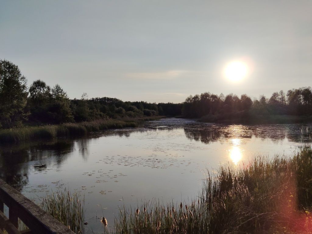 Działka budowlana Kawęczyn. Zdjęcie 5