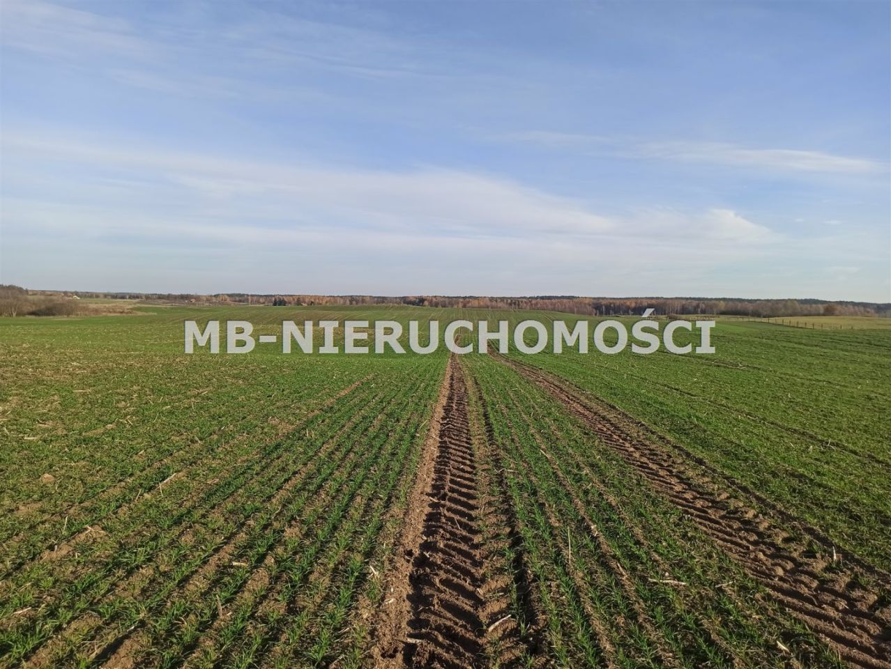 Działka rolna Jurgi. Zdjęcie 2