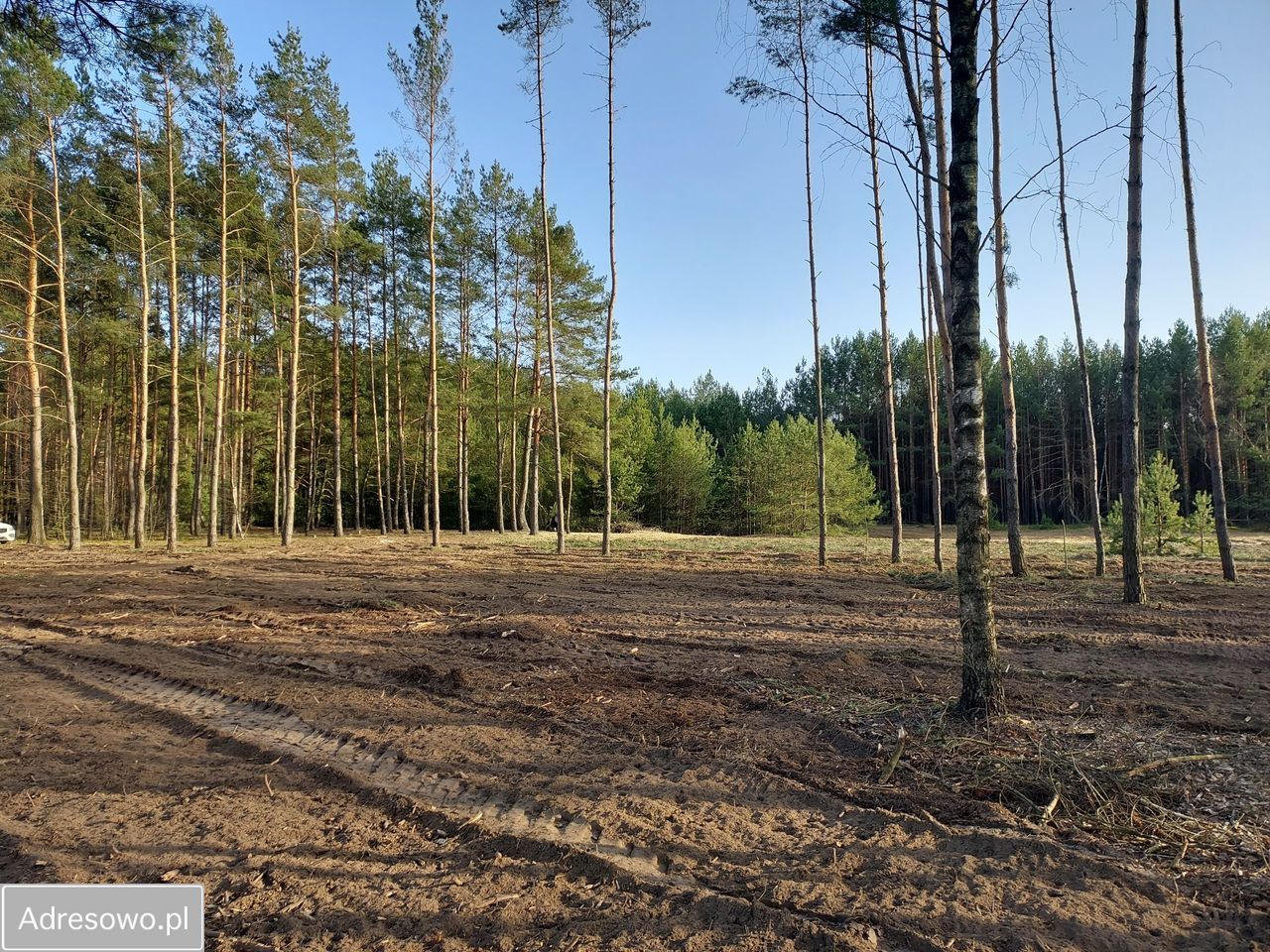 Działka rekreacyjna Rogóźno. Zdjęcie 7