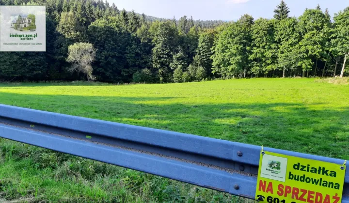 Działka inwestycyjna Duszniki-Zdrój Zieleniec, ul. Zieleniec