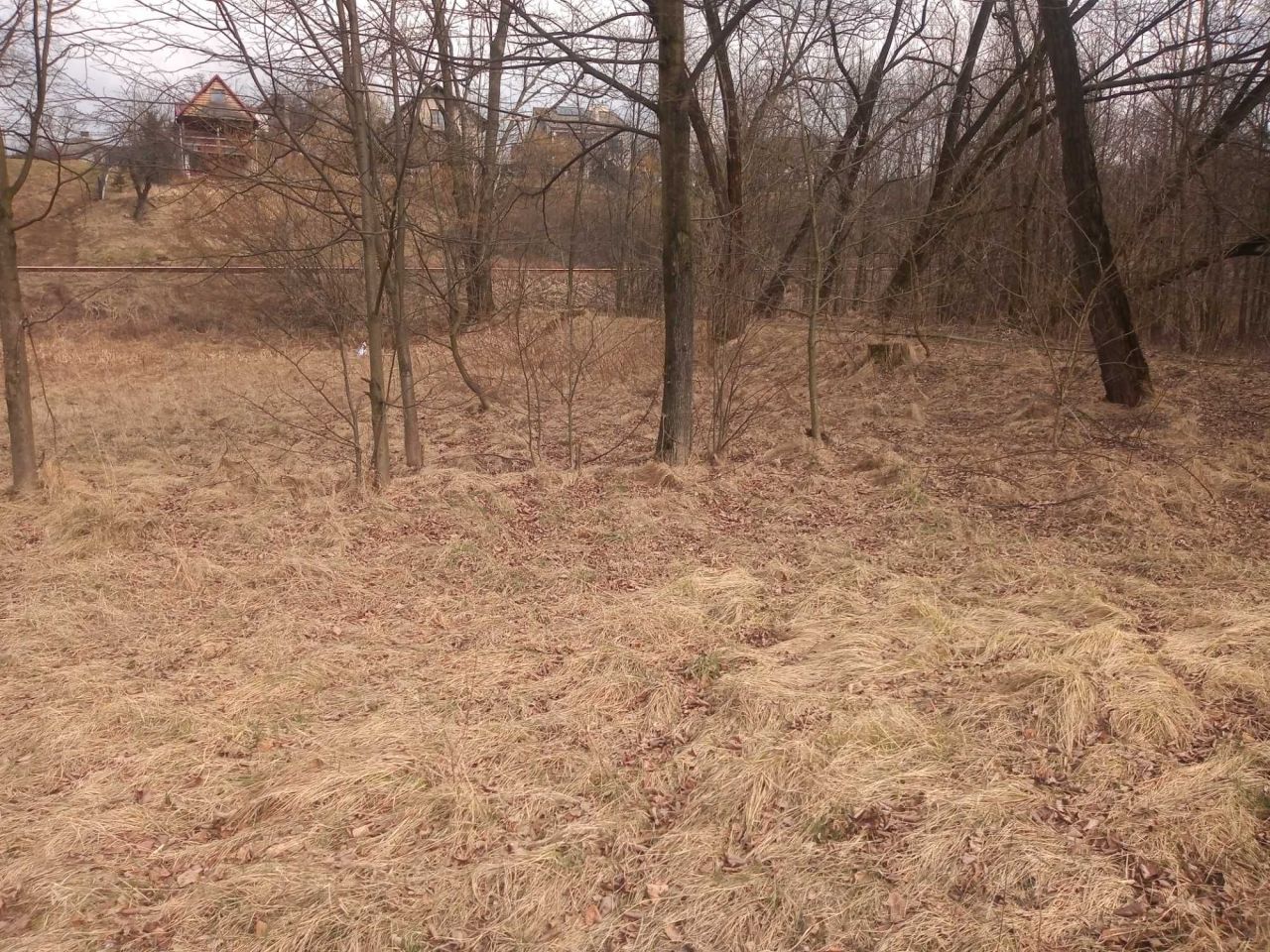 Działka rolna Bulowice. Zdjęcie 4