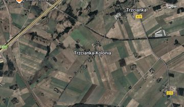 Hala/magazyn Trzcianka-Kolonia