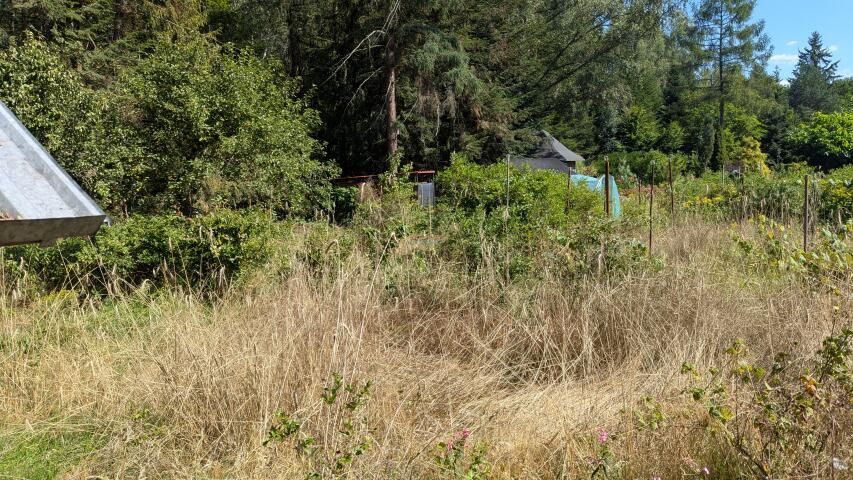 Działka rolna Chojnów. Zdjęcie 7