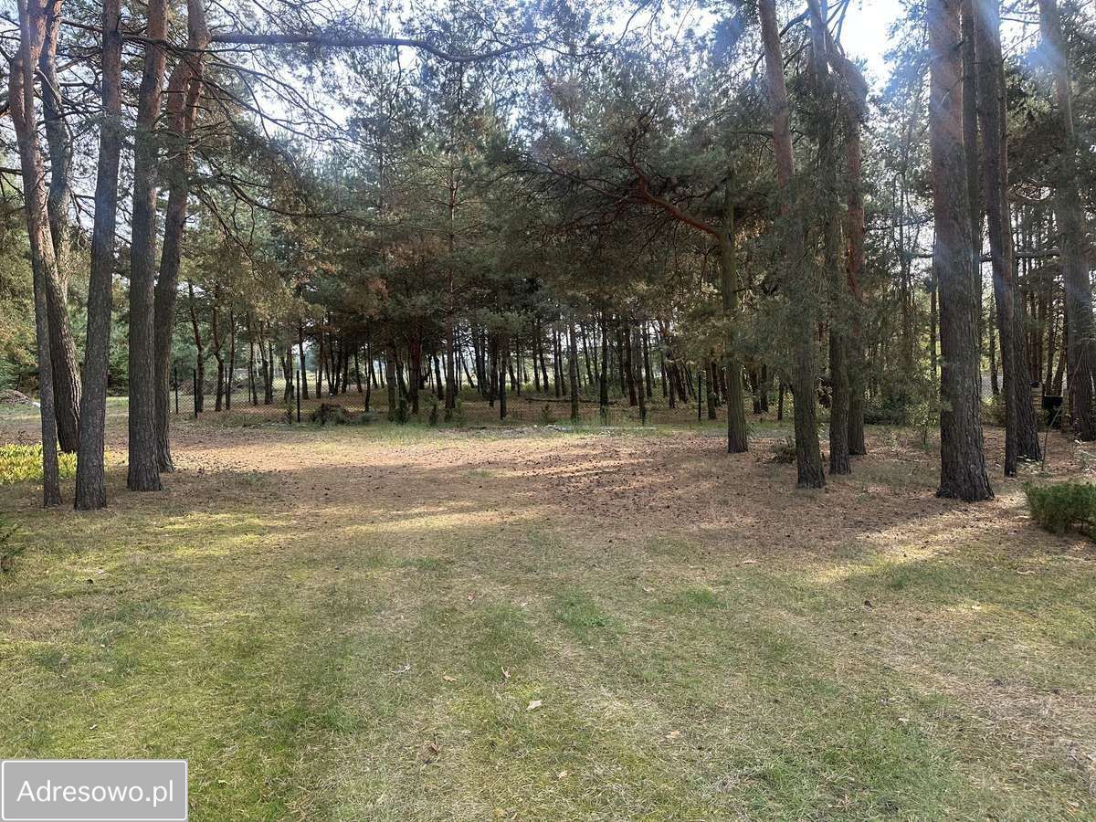 dom wolnostojący, 4 pokoje Biejków. Zdjęcie 13