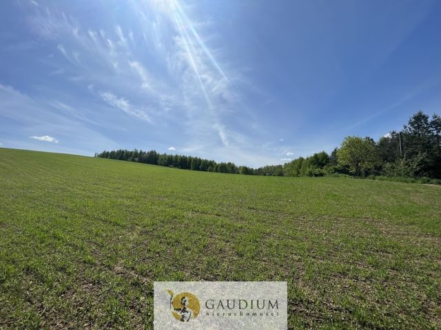 Działka Zła Wieś. Zdjęcie 5