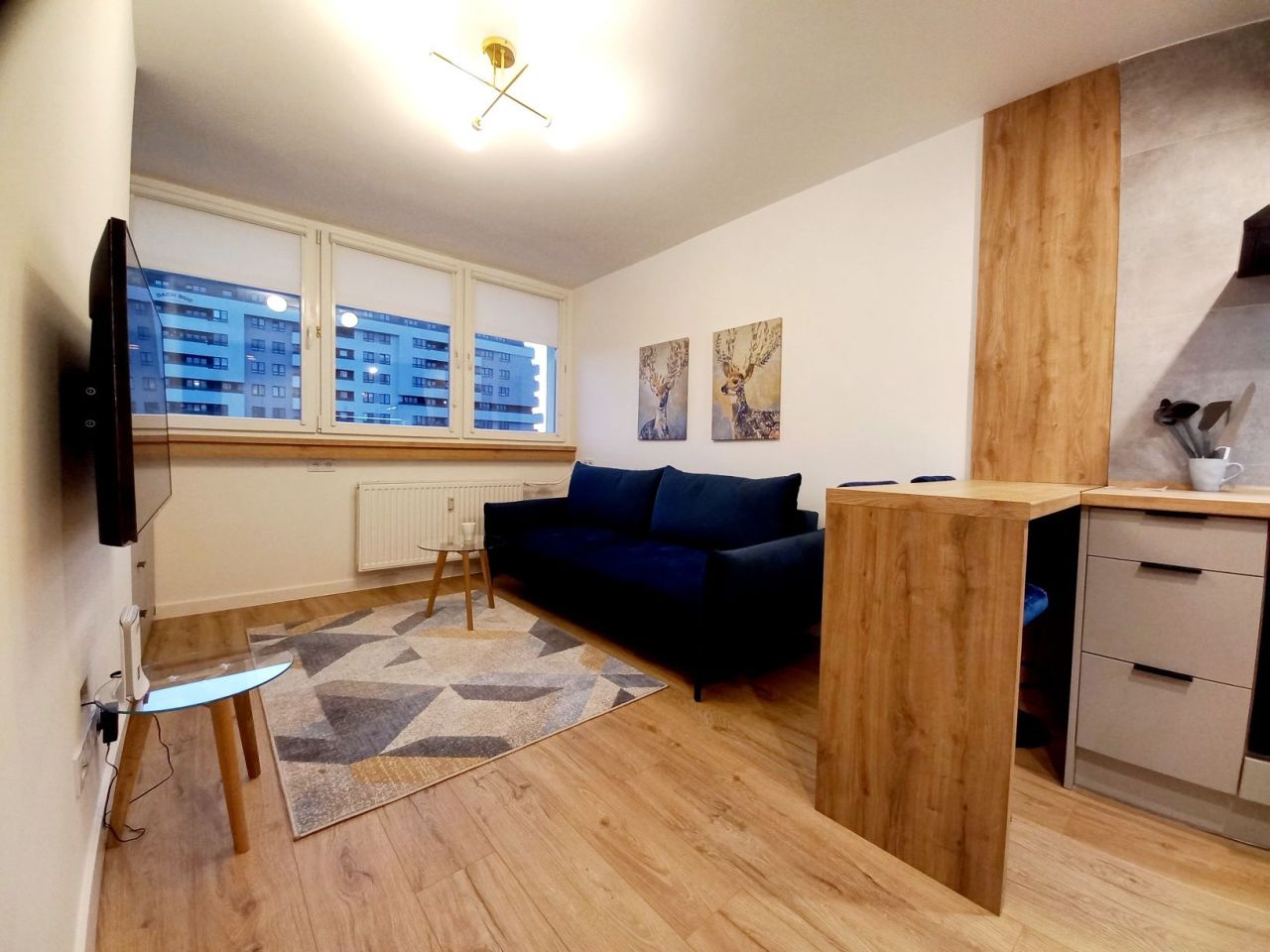 Mieszkanie 1-pokojowe Wrocław Fabryczna, ul. Lotnicza. Zdjęcie 6