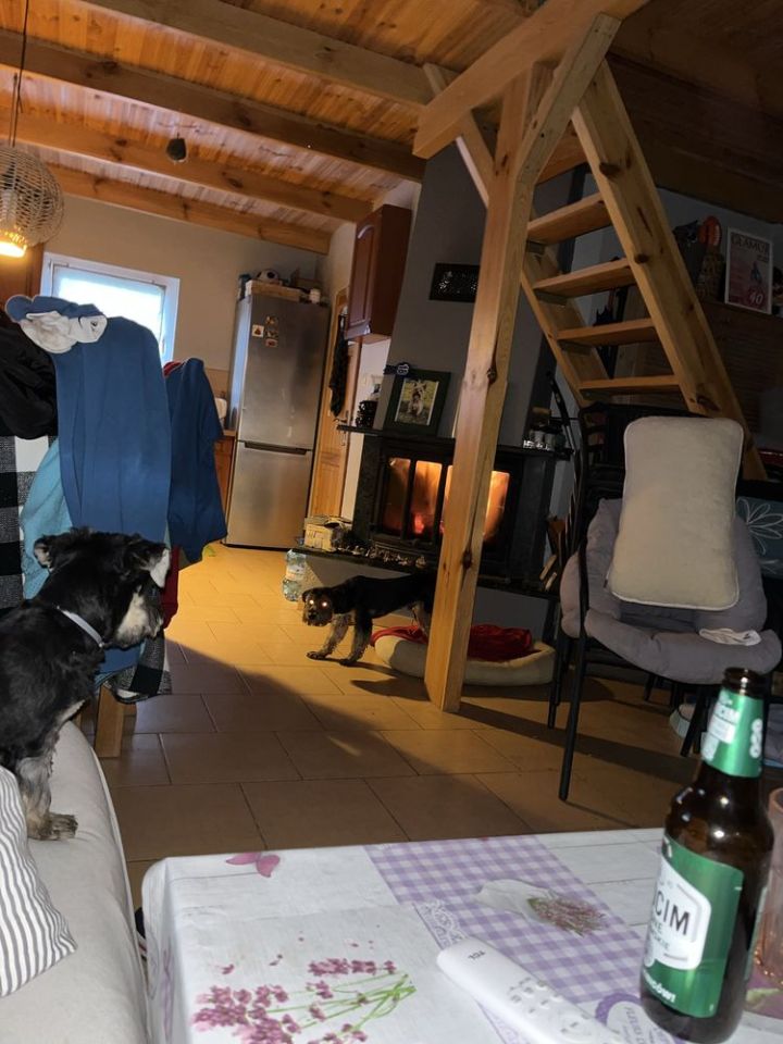 Działka rod Wudzyn. Zdjęcie 2